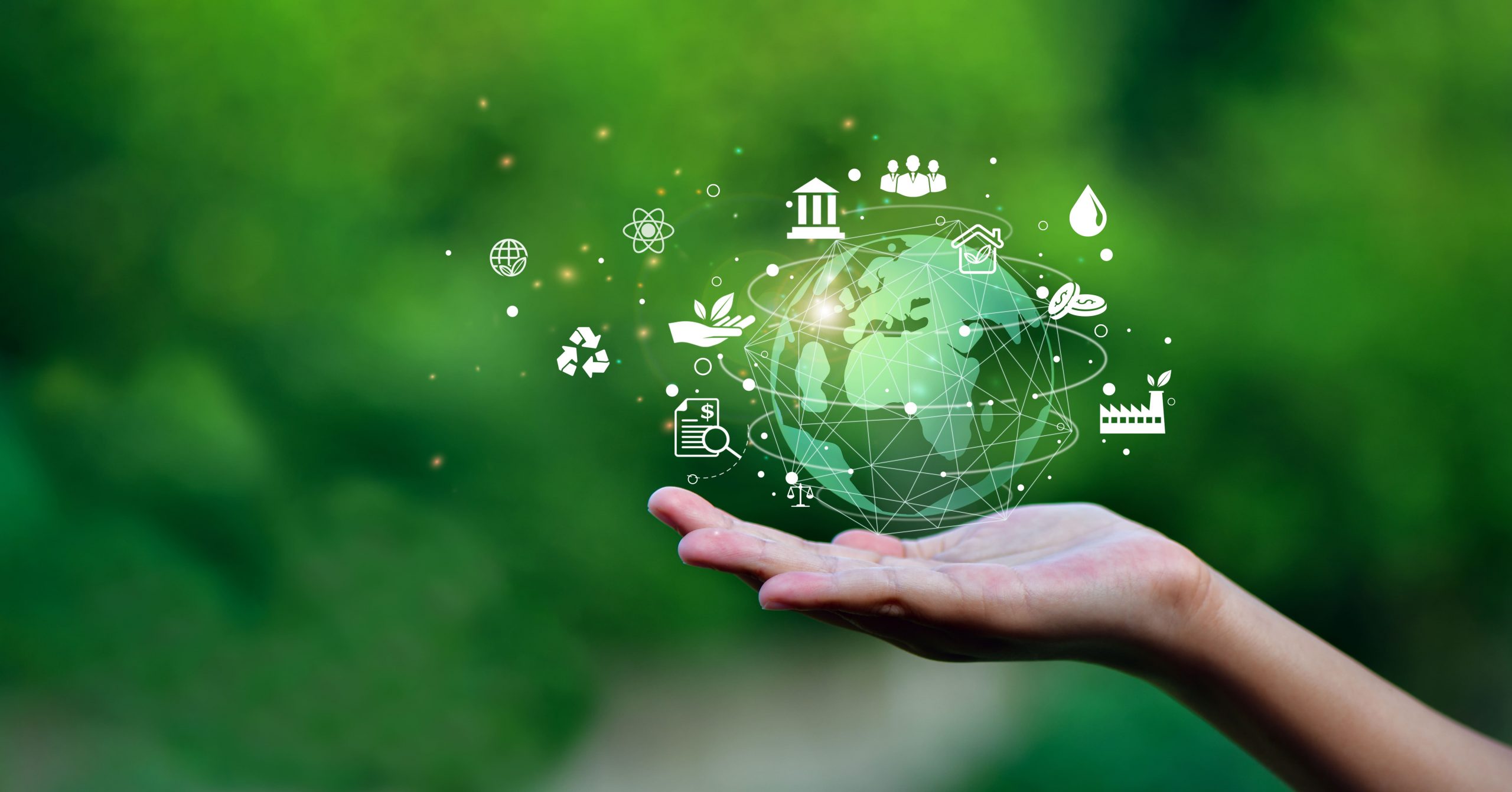 Qual é a diferença entre RSE e desenvolvimento sustentável?