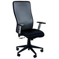 Cadeira de escritório ergonómica com espaldar alto Penelope – tecido – Manutan