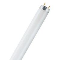 Lâmpada fluorescente Lumilux - T8 - 36 W