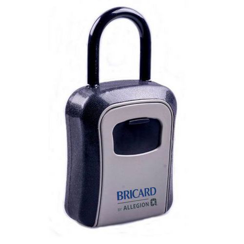 Chaveiro – com asa – Bricard