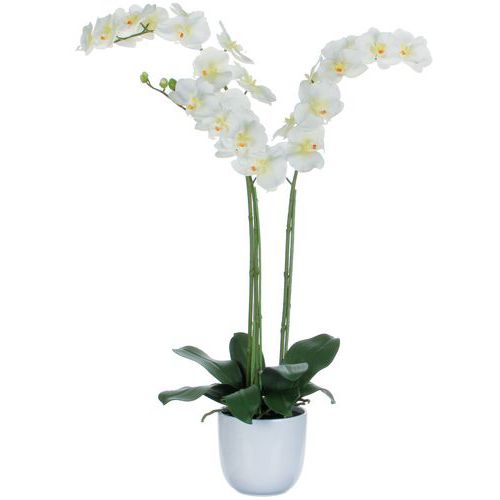 Phalaenopsis orquídea 100 cm – Vepabins