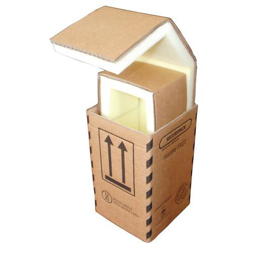 Caixa de expedição em cartão Sécuripack - Interior em espuma
