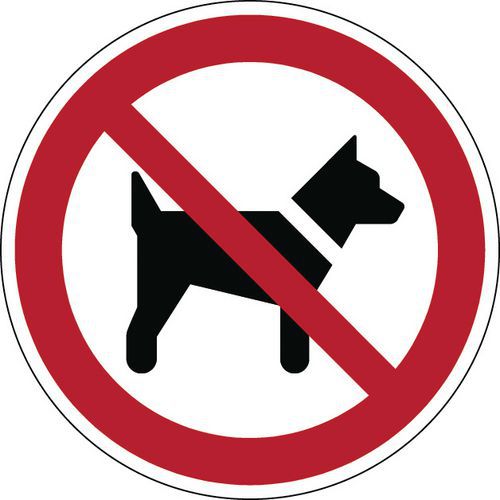 Painel de proibição – Proibida a entrada de cães – rígido