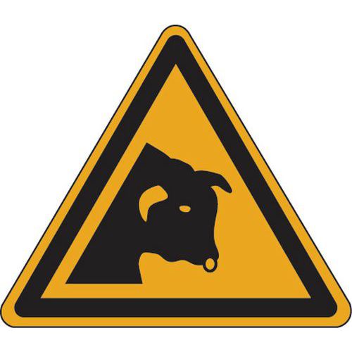 Painel de perigo – Cuidado com o touro – alumínio