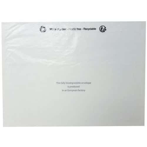 Envelope porta-documentos – transparente – sem impressão