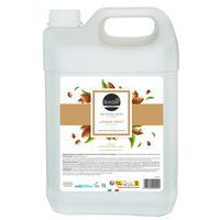 Produto de limpeza para mãos de amêndoa doce – 5 L – Boldair