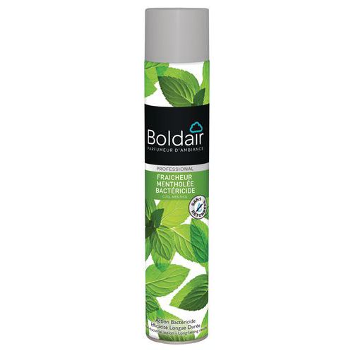 Ambientador bactericida Boldair com frescura mentolada – 500 ml