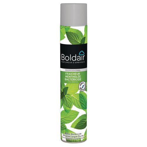 Ambientador bactericida Boldair com frescura mentolada – 500 ml Ambientador bactericida Boldair com frescura mentolada – 500 ml