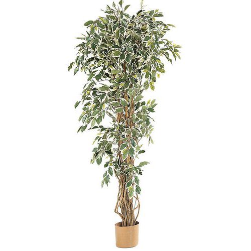 Plantas artificiais 180 cm Plantas artificiais 180 cm