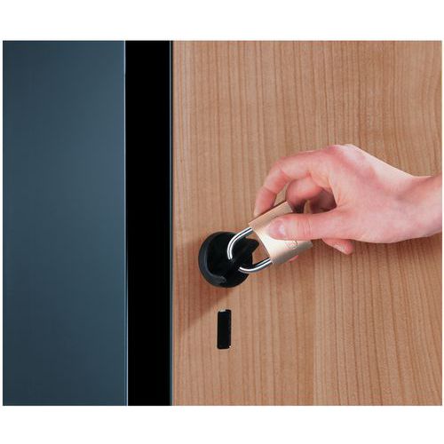 gancho porta-cadeado com lingueta rotativa gancho porta-cadeado com lingueta rotativa