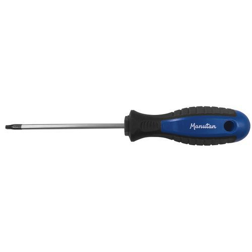 Chave de fendas Torx – Manutan Chave de fendas Torx – Manutan